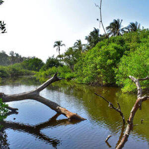 Tour durch Tumbes + Bootsfahrt durch die Mangroven