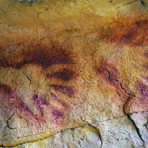 Geführte Tour durch die Altamira Neohöhle und das Museum