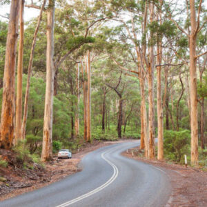 Private Tour von Perth