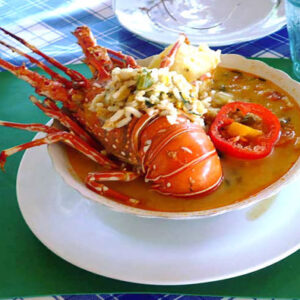 Tumbes Mangroventour
