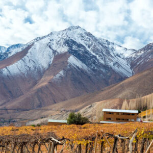 Private Tour durch das Elqui-Tal
