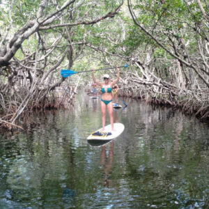 Tavernier Kajak- oder Paddle-Surf-Tour