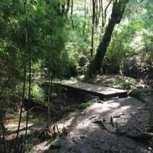 Wandern durch den Oncol Park