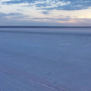 Ausflug zu den Salinas del Gualicho