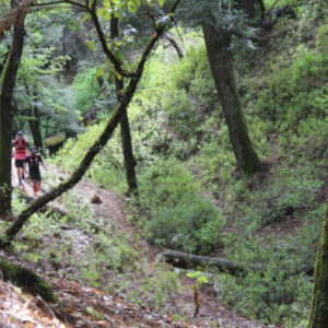 Wandern mit Pet