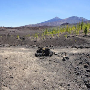 Ausflug zum Teide aus dem Süden Teneriffas