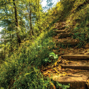 Wandern durch den Chipinque Ecological Park