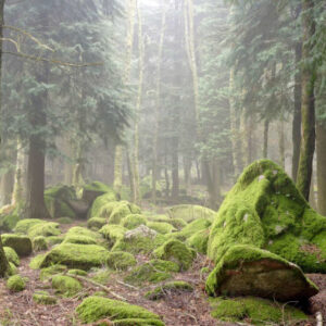 Private Tour von Guimarães
