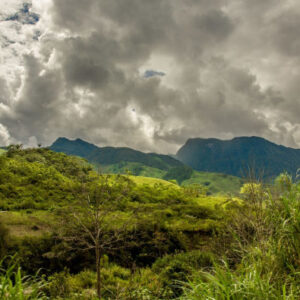 Ausflug zum Oxapampa- und Yanachaga-Nationalpark