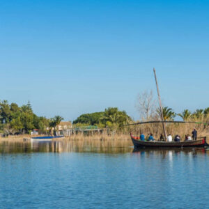 Ausflug nach Valencia und Albufera + Chufa Felder