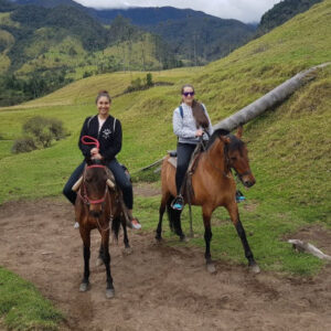 Ausflug nach Salento und Valle de Cocora + Reiten