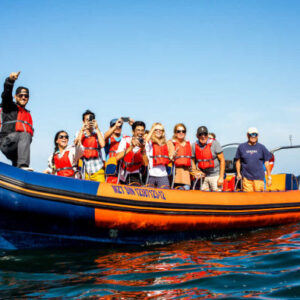 Schnellbootfahrt durch die Bucht von Mazatlán