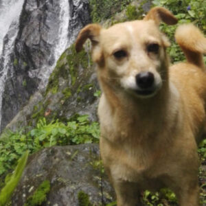 Wandern durch den Wasserfall des Secret
