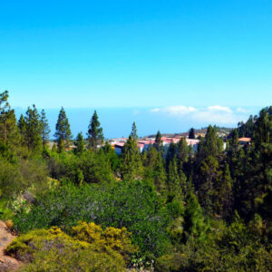 Quadtour durch Arona und Vilaflor aus dem Süden Teneriffas