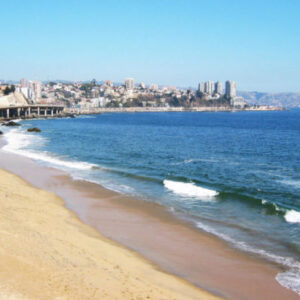 Tour durch die Strände von Viña del Mar
