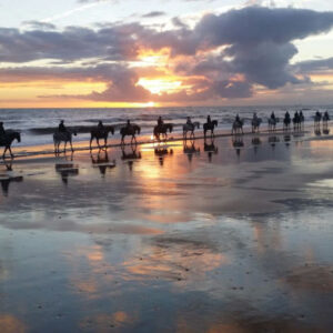 Reiten bei Sonnenuntergang in Doñana