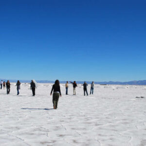 Ausflug zu den Salinas Grandes + Trekking durch Los Colorados