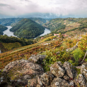 Ausflug zur Ribeira Sacra