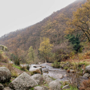 Private Tour durch Hervás Sie haben die Wahl!