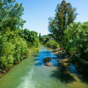 Paddel-Surf-Tour auf dem Guadiaro-Fluss