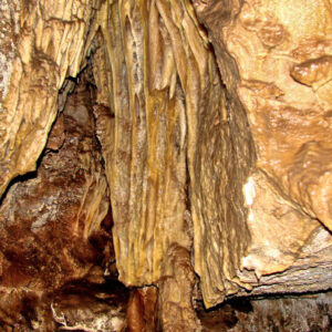 Ausflug zum Naturschutzgebiet Caverna de las Brujas