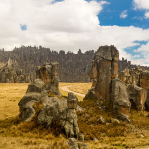 Ausflug zum Huayllay National Sanctuary