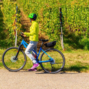 Radtour durch das Weingut Viña Haras de Pirque