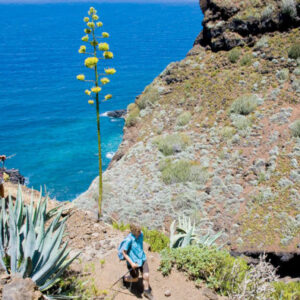 Wandern entlang der wilden Küste von La Palma von Barlovento
