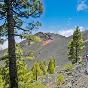 Wandern zu den Vulkanen von La Palma von El Paso