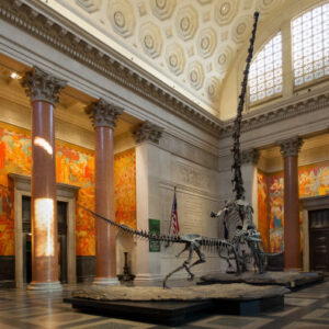 Eintritt in das American Museum of Natural History