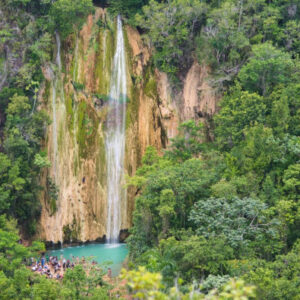 Walbeobachtung in Samaná