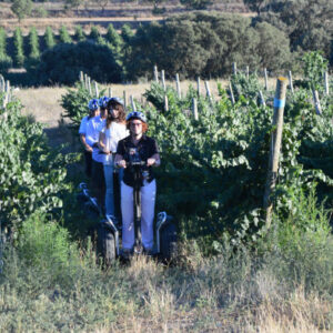 Segway-Tour ab Barbastro
