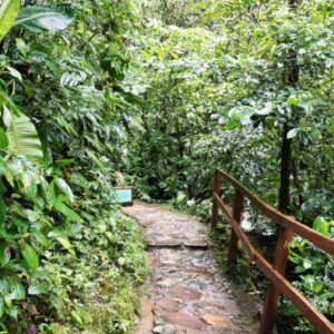 Wandern durch Alto Shilcayo
