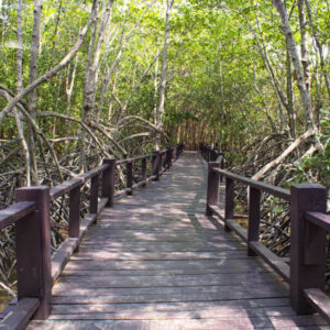 Wandern durch den Nationalpark Los Haitises