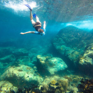 Schnorcheln auf den Similan Inseln