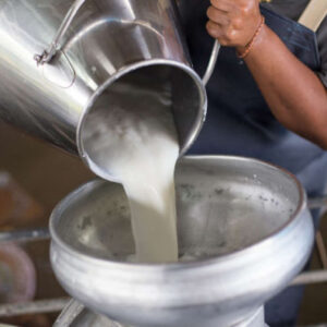 Käse- und Joghurt-Workshop in Puerto Inca