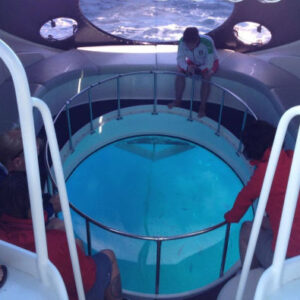 Yachtausflug von Tazacorte