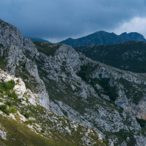 Sichtung der iberischen Wölfe in Asturien