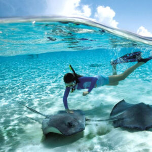 Stachelrochensichtung in Cayo Acuario