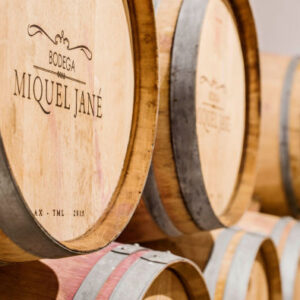 Besuch des Weinguts Miquel Jané