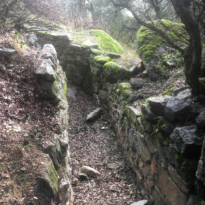 Wandern durch den Burgberg