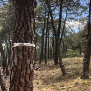 Wandern entlang der Via Crucis des Tals der Gefallenen