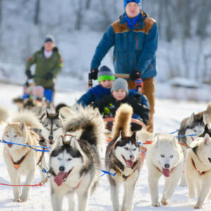 Husky-Hundeschlittenfahrt