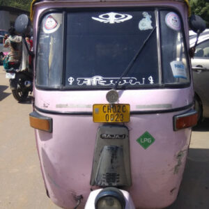Tuk-Tuk-Tour durch die Museen von Chandigarh