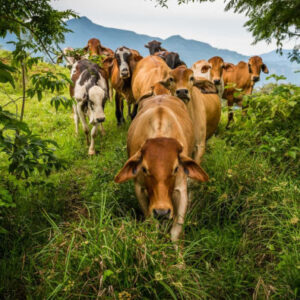 Private Trekkingroute durch den Tusa-Hügel mit Camping