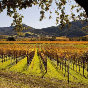 Napa und Sonoma Valley Tour
