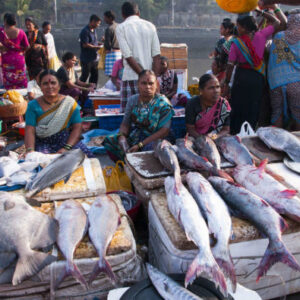 Private Tour durch Mumbai bei Sonnenaufgang