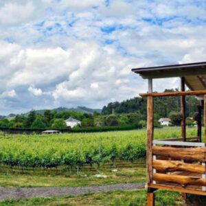 Gastronomische Tour durch die Valles Pasiegos