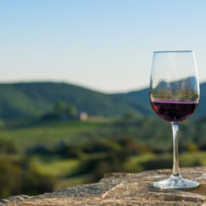 Weintour durch das Guadalupe-Tal