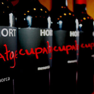 Wein- und Käseverkostung im Hort Sant Patrici